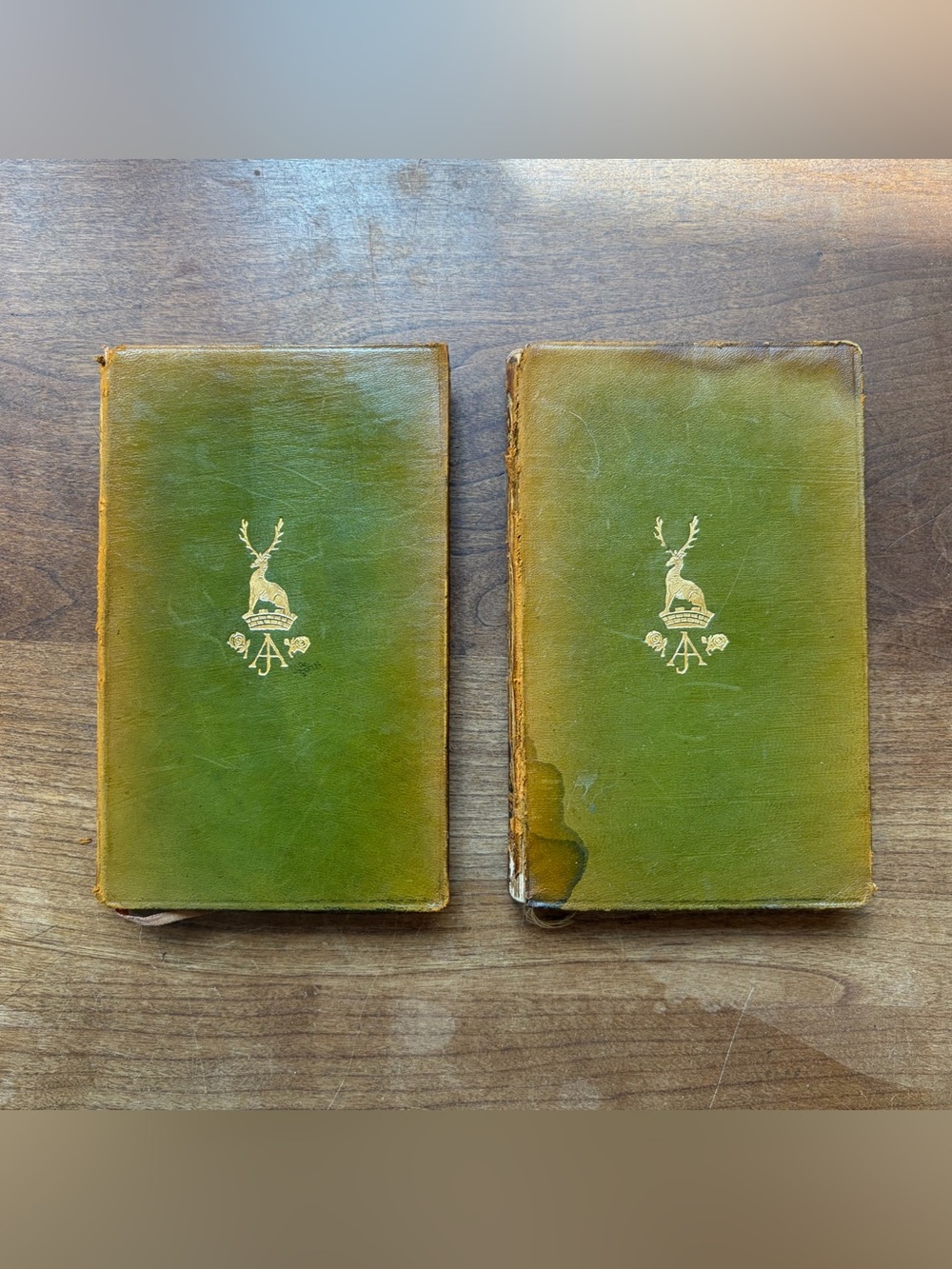 RARE Jane Austen 1904 Antique Emma Vol. 1 & Vol. 2 Book Set J.M. Dent *FLAWED*